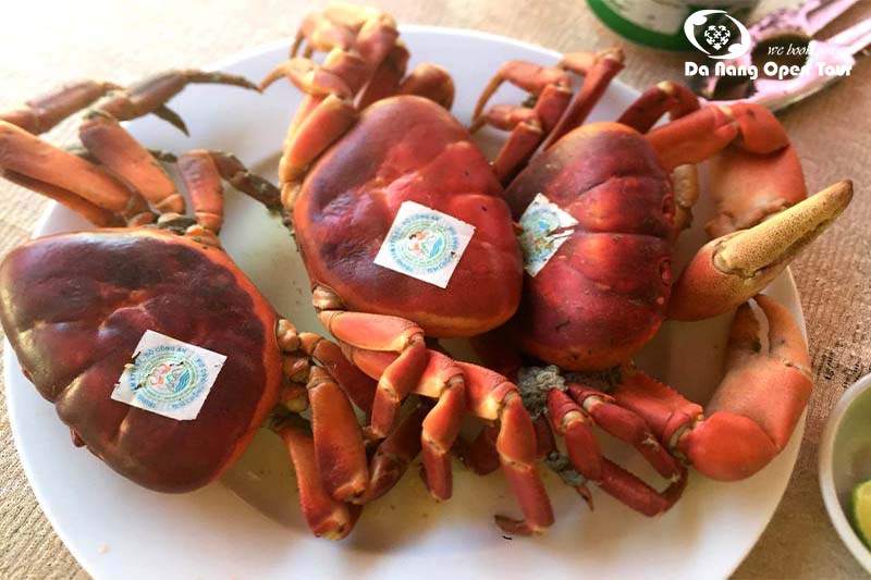 đặc sản cù lao chàm