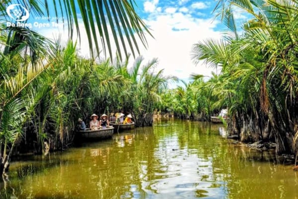 tư vấn thời điểm đến rừng dừa tốt nhất