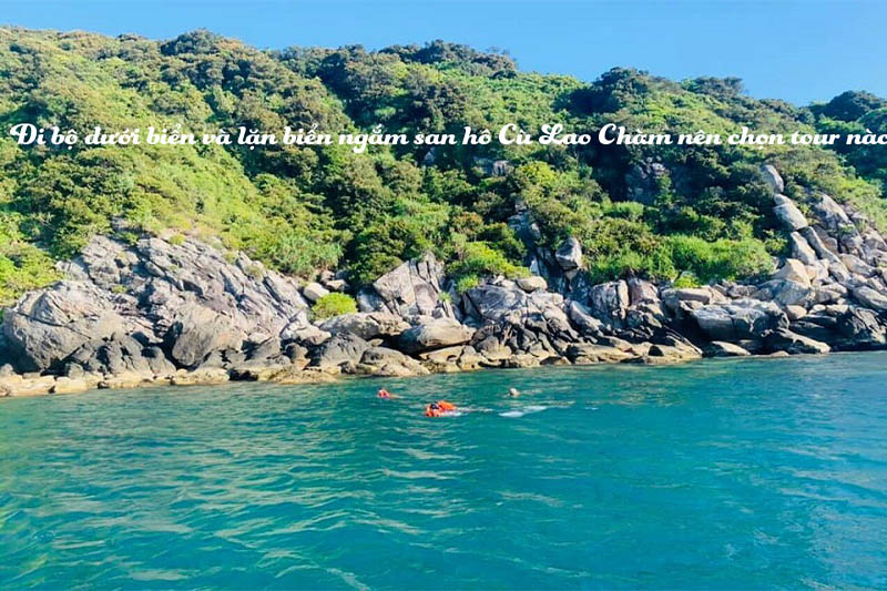lặn ngắm san hô ở đảo cù lao chàm