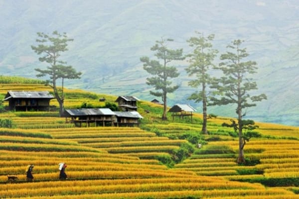 tour du lịch sapa 3 ngày 2 đêm