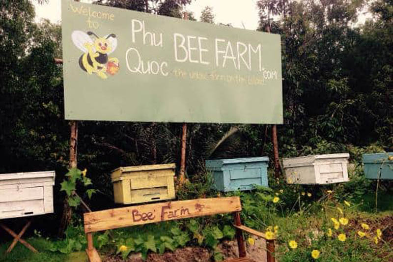 Tham quan trại nuôi ong Phú Quốc Bee Farm