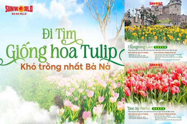 điểm vui chơi tại bà nà hill