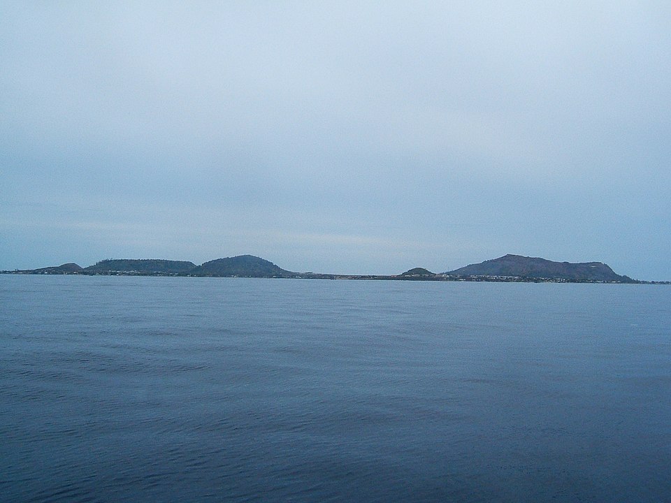 Hình minh họa: Các hãng tàu và so sánh giá vé