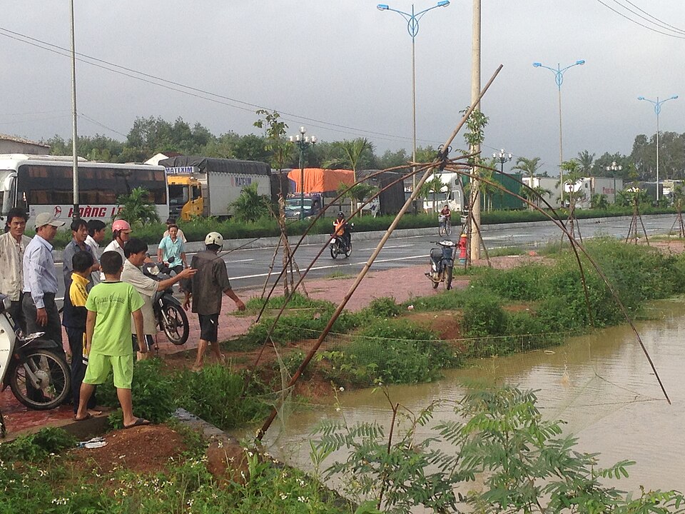 Hình minh họa: Hoạt động và trải nghiệm độc đáo ở Quảng Ngãi